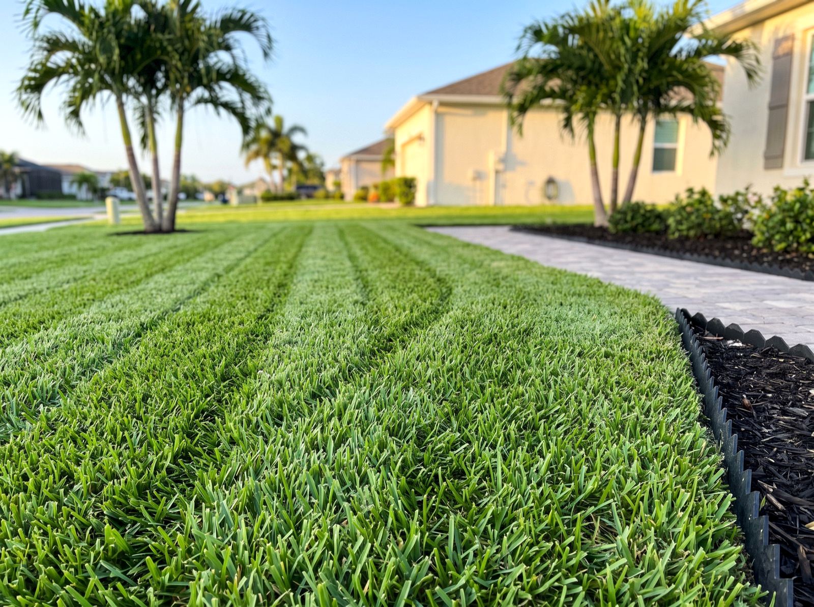 A recurring annual programme for the whole property. Not a mowing route, but complete care held to a standard.
